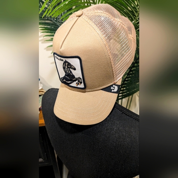 Cap/hat - Picture 2 of 6